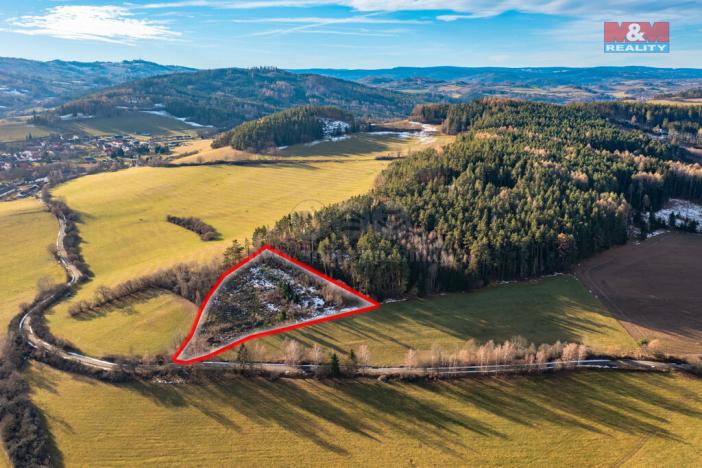 Prodej lesa, Malenice, 51224 m2