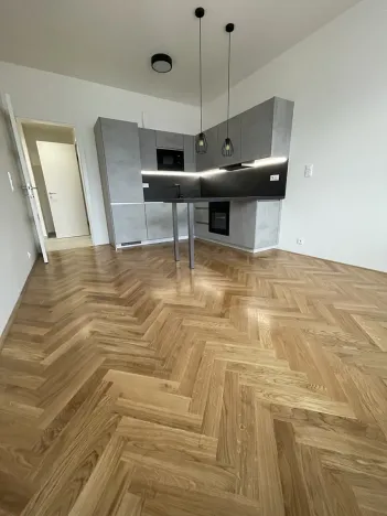 Pronájem bytu 2+kk, Praha - Vinohrady, Záhřebská, 50 m2