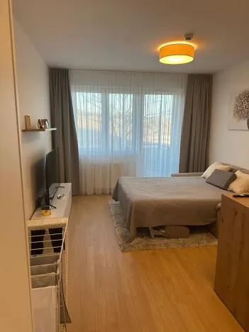 Pronájem bytu 1+kk, Praha - Vysočany, Hindlova, 30 m2