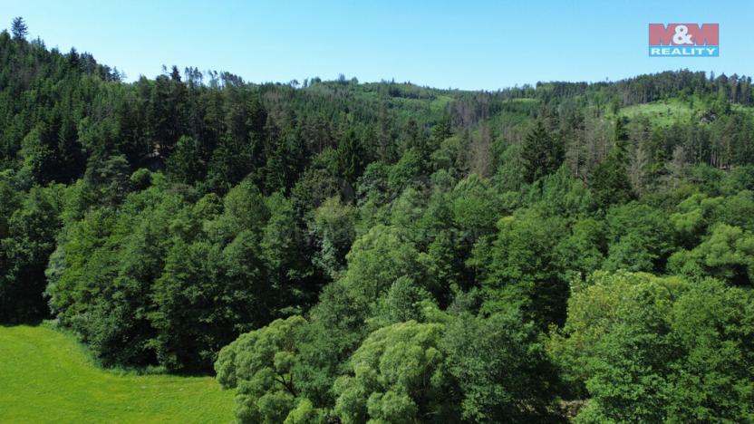 Prodej rodinného domu, Věžná, 481 m2