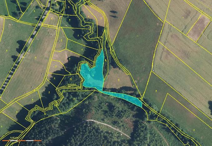 Prodej louky, Zdobín, 46786 m2