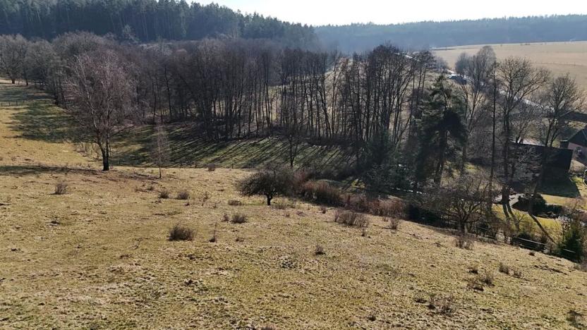 Prodej louky, Úhlejov, 46786 m2