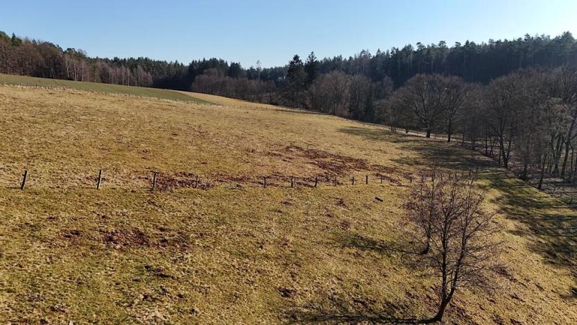 Prodej pole, Úhlejov, 46786 m2