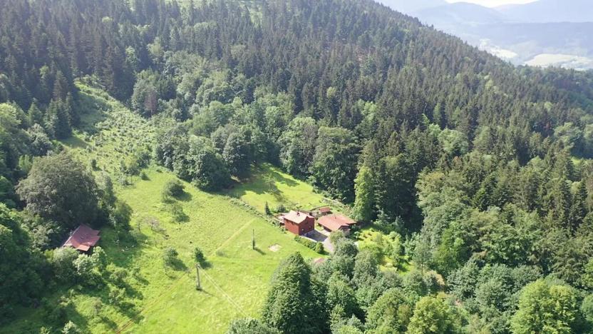 Prodej louky, Malenovice, 2904 m2