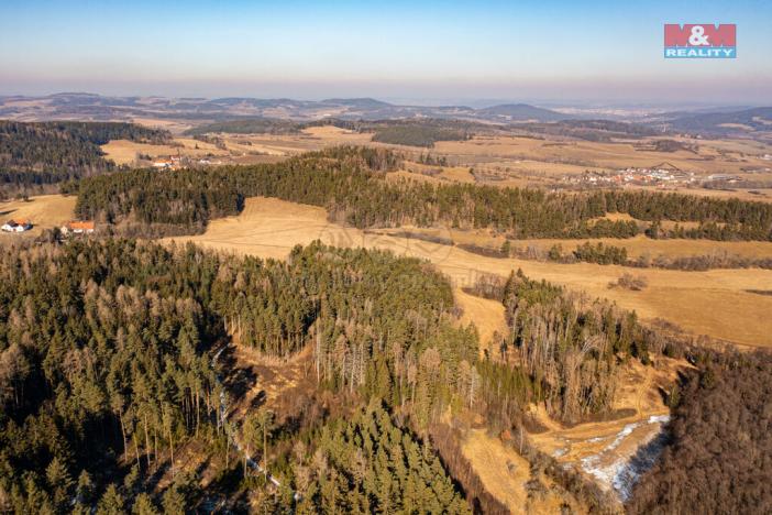 Prodej lesa, Čkyně - Onšovice, 7489 m2