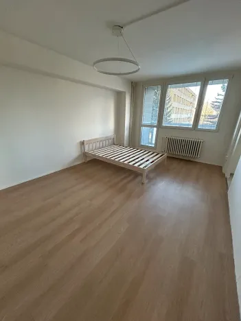 Pronájem bytu 1+1, Kladno, U Hvězdy, 41 m2