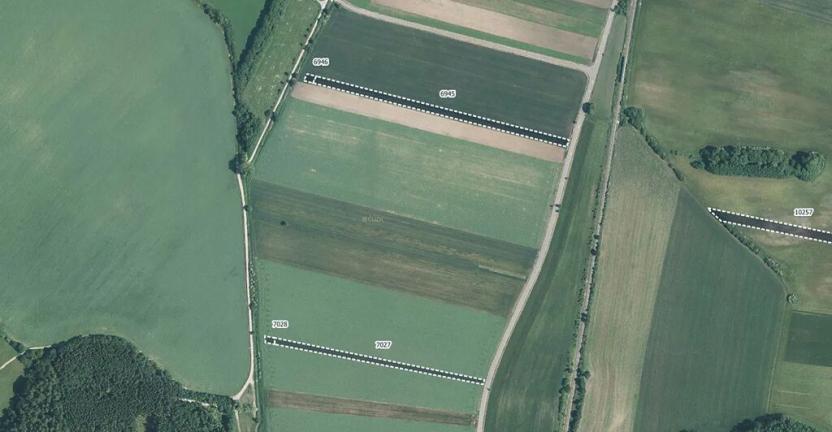 Prodej pole, Javorník, 14070 m2