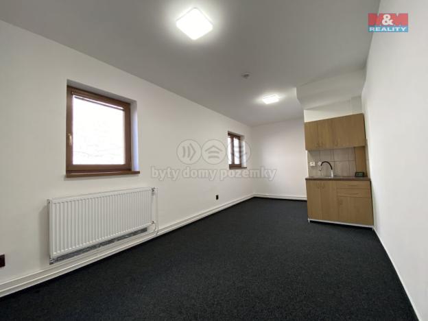 Pronájem obchodního prostoru, Český Těšín, Studentská, 40 m2