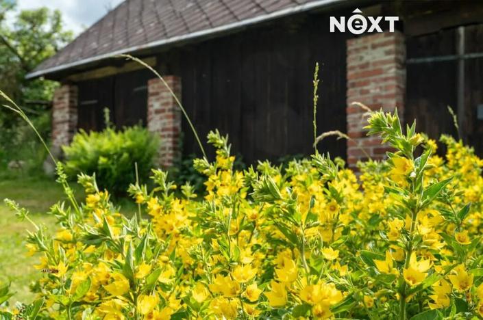 Prodej chalupy, Poniklá, 160 m2