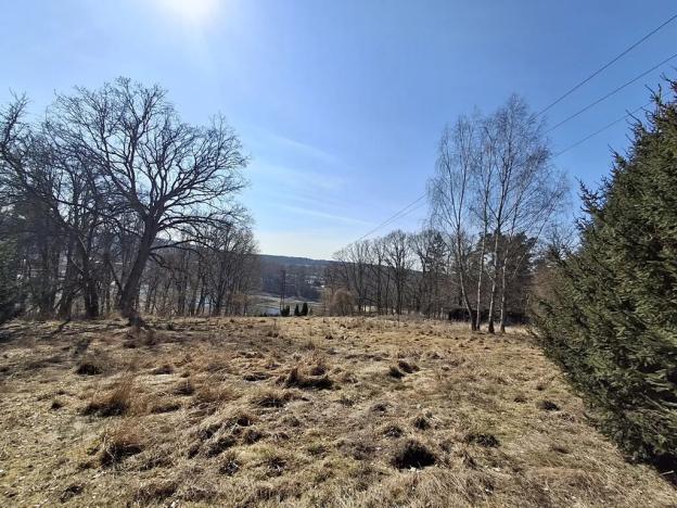 Prodej zahrady, Cheb, 3452 m2