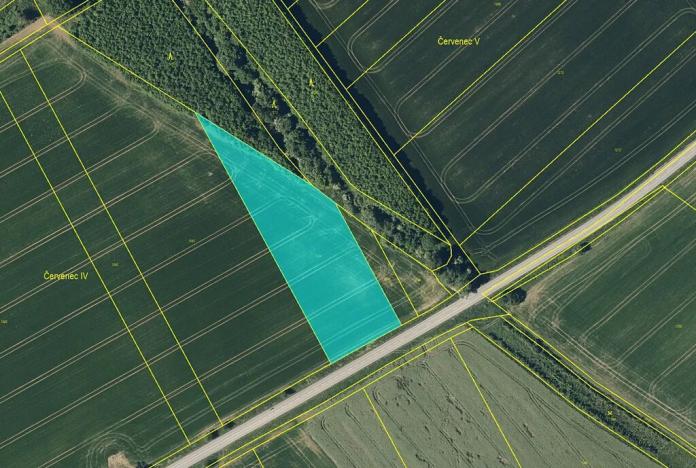 Prodej pole, Věžky, 6067 m2