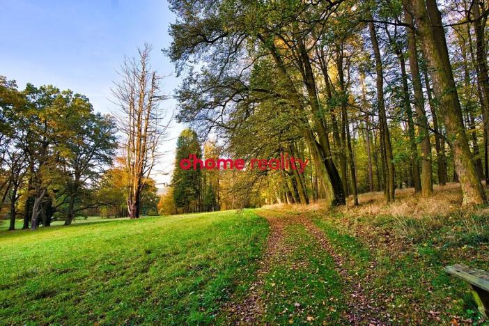 Prodej domu, Luka nad Jihlavou, Nádražní, 2812 m2