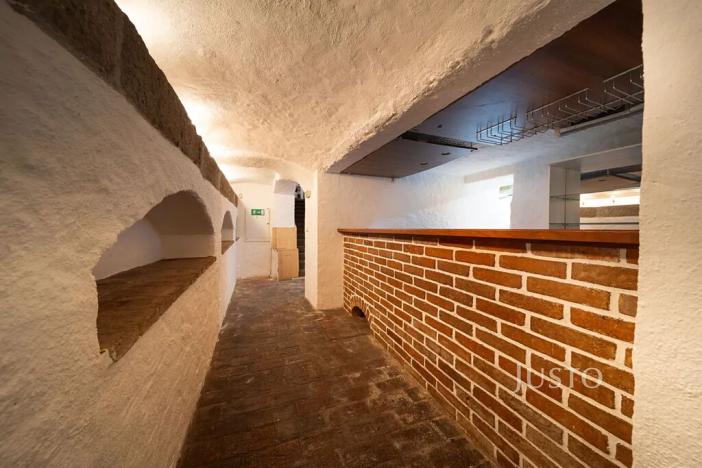 Prodej obchodního prostoru, České Budějovice, nám. Přemysla Otakara II., 301 m2