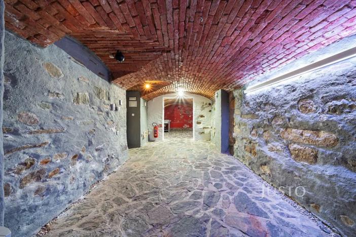 Prodej obchodního prostoru, České Budějovice, nám. Přemysla Otakara II., 301 m2