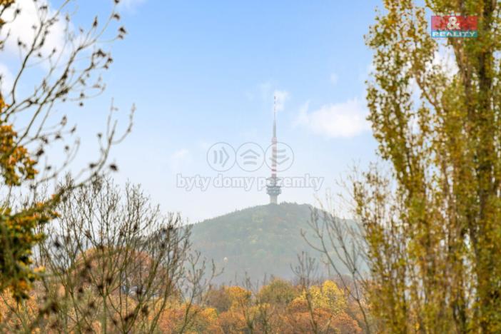 Prodej obchodního prostoru, Povrly, Český Bukov, 580 m2