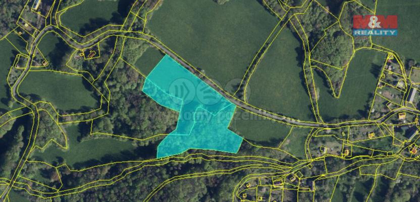 Prodej lesa, Homole u Panny - Suletice, 22174 m2