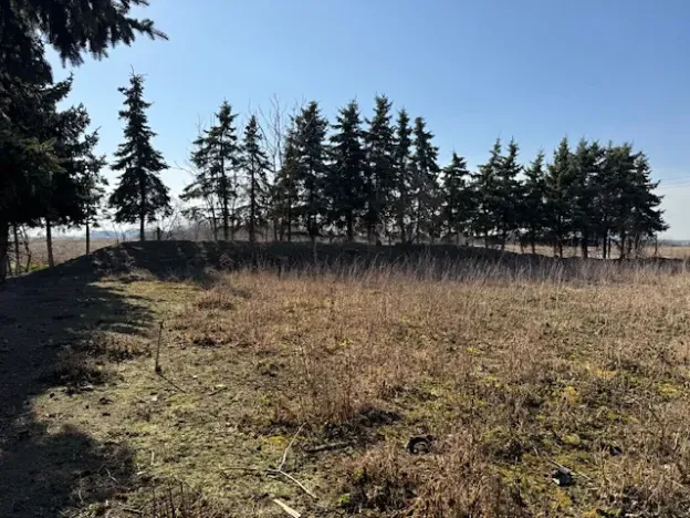 Prodej výrobních prostor, Přerov, Tovačovská, 8008 m2