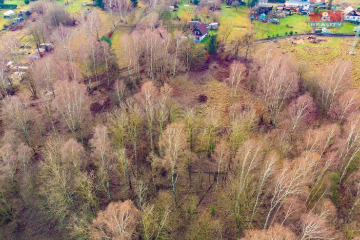 Prodej louky, Arnoltice, 6306 m2