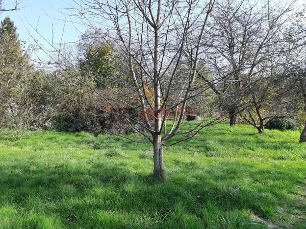 Prodej pozemku pro bydlení, Bravantice, 1062 m2