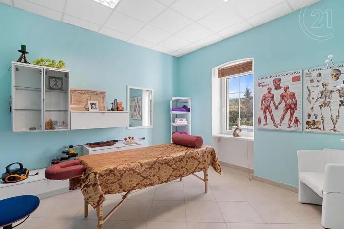 Prodej rodinného domu, Děčín, Vilsnická, 900 m2