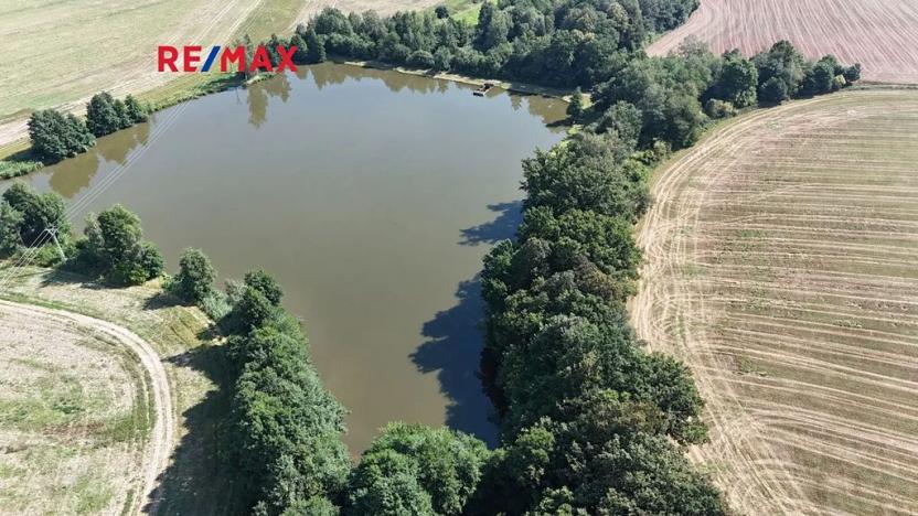 Prodej rybníku, Moravská Třebová, 94551 m2