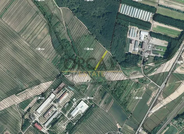 Prodej pole, Moravský Písek, 233 m2