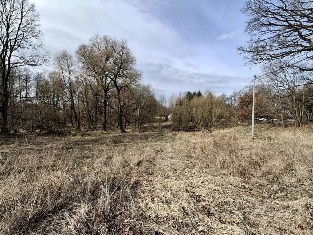 Prodej pozemku pro bydlení, Milíkov, 4644 m2