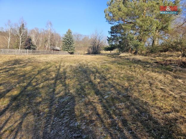 Prodej louky, Lipová - Seč, 668 m2