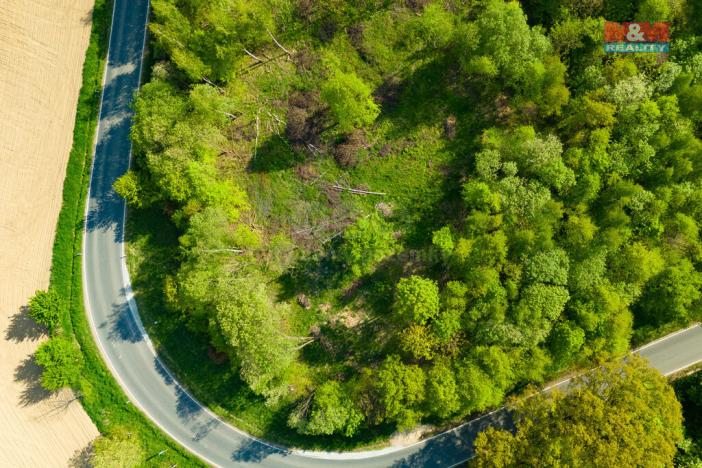 Prodej louky, Mikulovice, 4228 m2