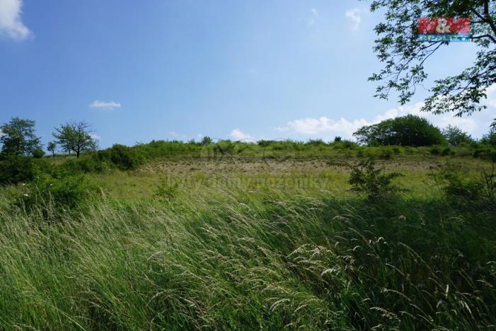 Prodej pozemku pro bydlení, Sobětuchy, 5749 m2