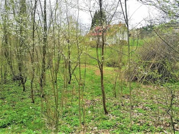 Prodej podílu pozemku pro bydlení, Veselá, 340 m2