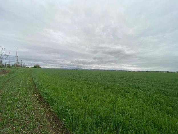 Prodej komerčního pozemku, Brno, 9415 m2