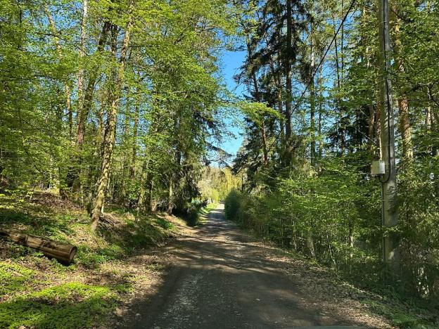 Prodej chaty, Štěchovice, 170 m2