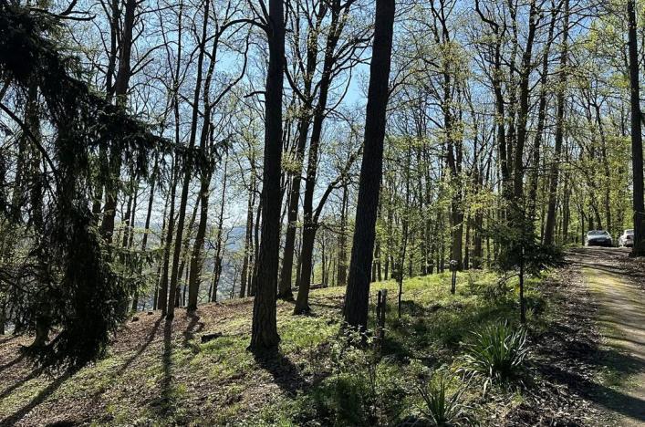 Prodej chaty, Štěchovice, 170 m2