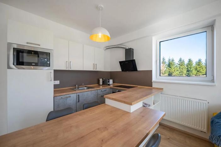 Prodej bytu 2+kk, Loučná pod Klínovcem, 53 m2