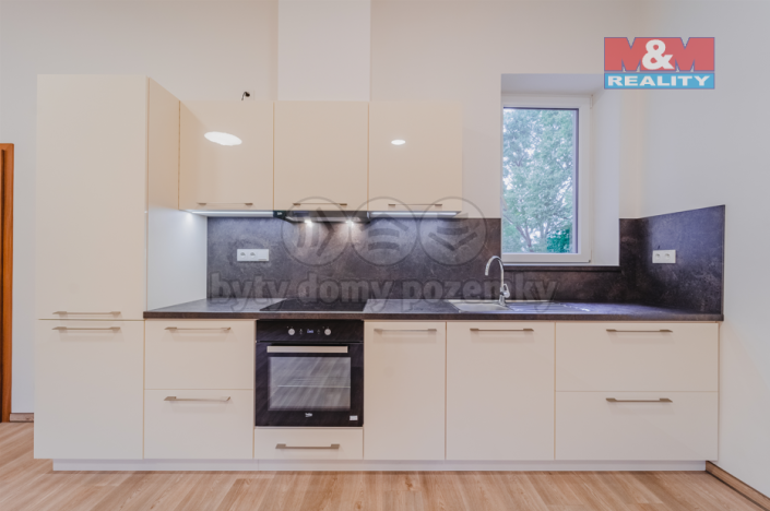 Pronájem bytu 2+kk, Ostrava - Vítkovice, Ruská, 68 m2