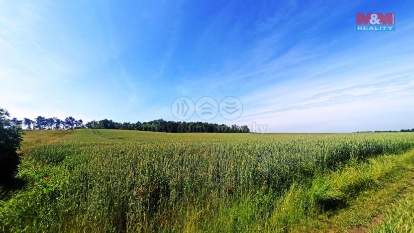Prodej pole, Měnín, 31465 m2