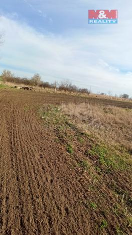 Prodej pole, Pasohlávky, 5910 m2