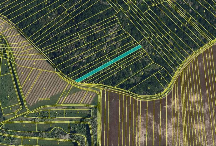 Prodej pole, Šitbořice, 31279 m2