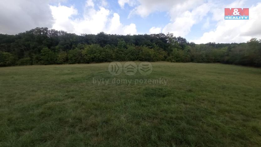 Prodej louky, Jenčice, 12373 m2