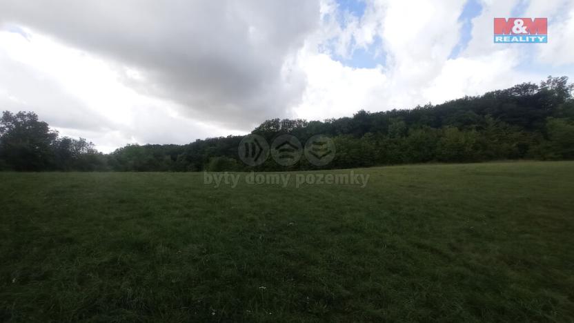 Prodej louky, Jenčice, 12373 m2