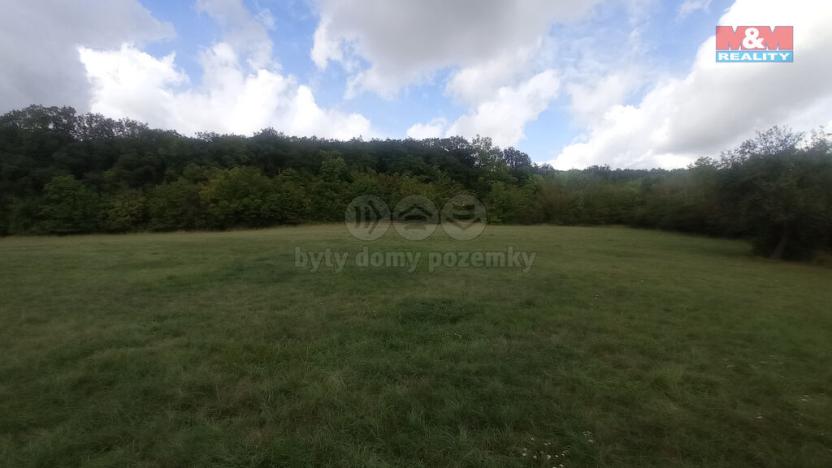 Prodej louky, Jenčice, 12373 m2