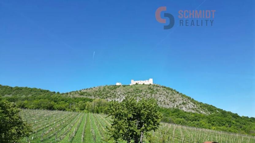 Prodej pozemku pro bydlení, Pavlov, Vinařská, 247 m2