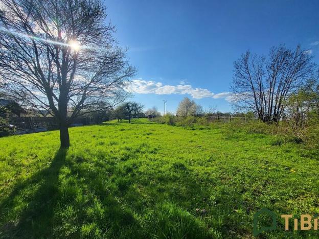 Prodej pozemku pro bydlení, Ruprechtov, 5140 m2