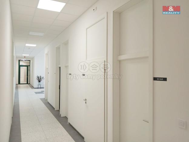 Pronájem obchodního prostoru, Opava - Město, Masarykova třída, 20 m2