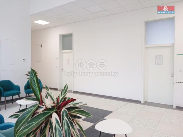 Prodej obchodního prostoru, Opava - Město, Masarykova třída, 160 m2