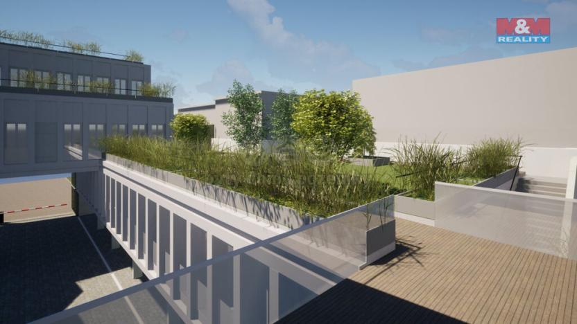 Prodej obchodního prostoru, Opava - Město, Masarykova třída, 80 m2