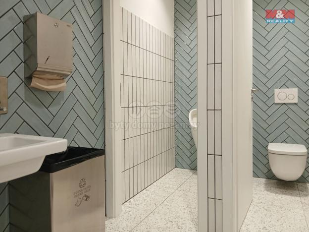 Prodej obchodního prostoru, Opava - Město, Masarykova třída, 60 m2