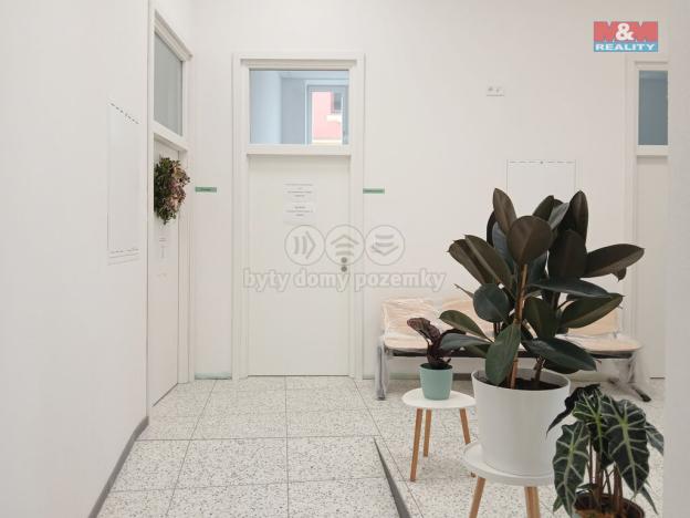 Prodej obchodního prostoru, Opava - Město, Masarykova třída, 50 m2