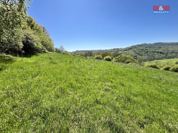 Prodej louky, Malšovice - Hliněná, 21830 m2